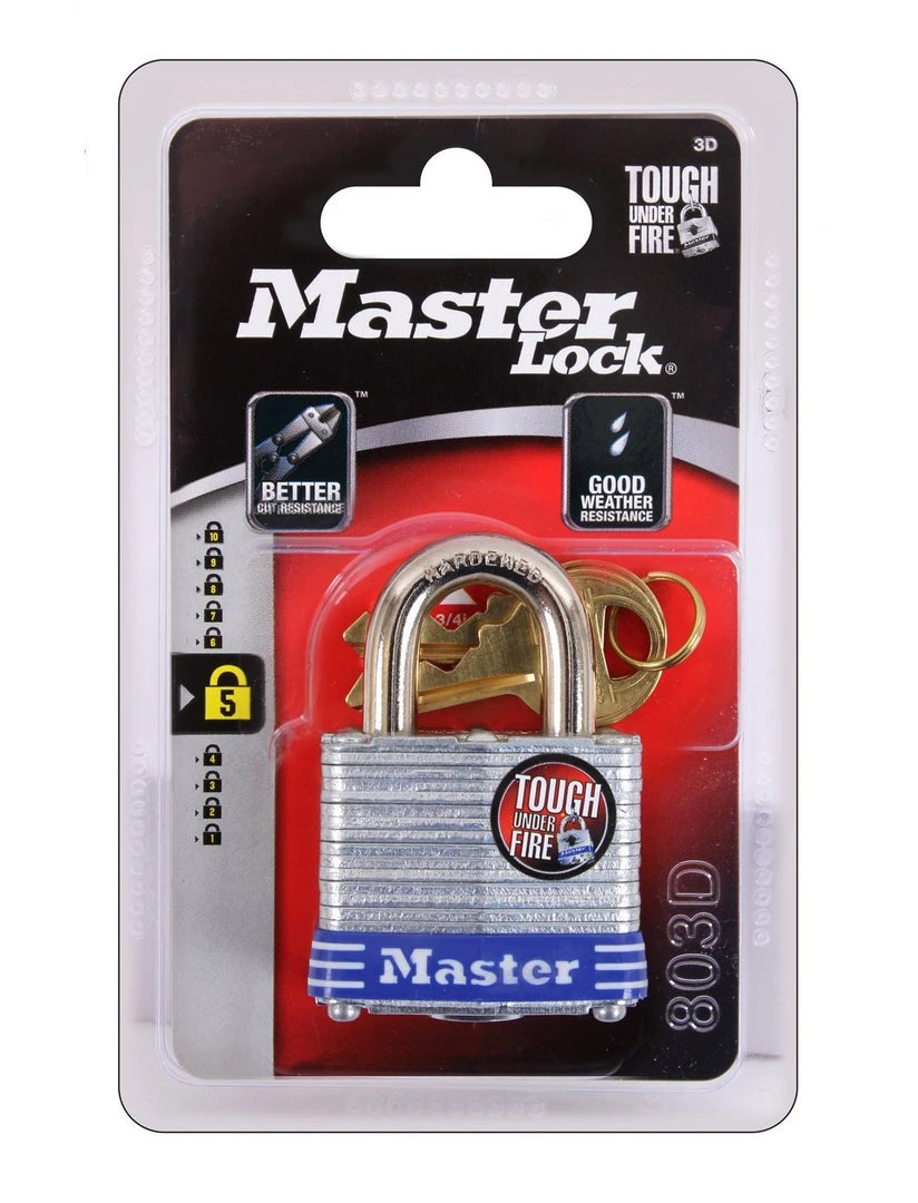 Master Lock Cylinder Tumbler Lock Locks