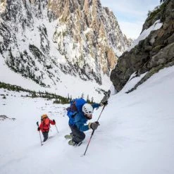 MSR DynaLock Backcountry Poles