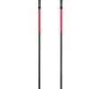 MSR DynaLock Backcountry Poles