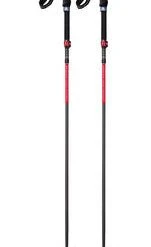 MSR DynaLock Backcountry Poles