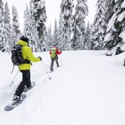 MSR DynaLock Trail (80-140 CM) Backcountry Poles