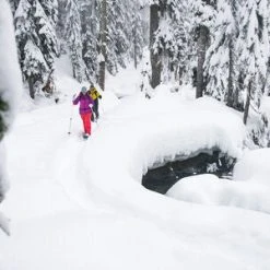 MSR DynaLock Trail (80-140 CM) Backcountry Poles