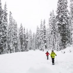 MSR Lightning Trail Snowshoes