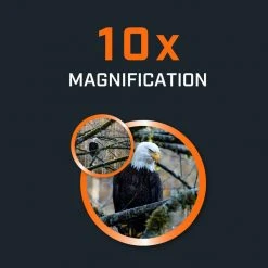 Bushnell H2O 10x42 Waterproof Binoculars