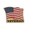 Rothco Veteran US Flag Pin