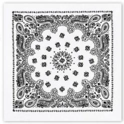 Rothco Trainmen Paisley Bandana - 22