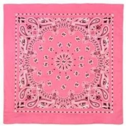 Rothco Trainmen Paisley Bandana - 22