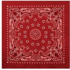 Rothco Trainmen Paisley Bandana - 22