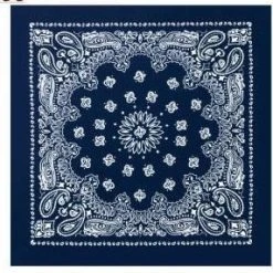 Rothco Trainmen Paisley Bandana - 22