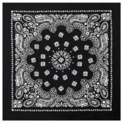Rothco Trainmen Paisley Bandana - 22
