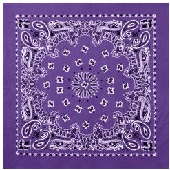 Bandanas & Headwraps Rothco Large Trainmen Bandanas 27 Inch