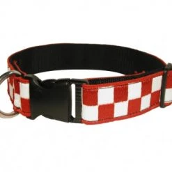 Boston Leather 1 ½ Decorative Embroidered Collar, Red/White