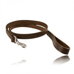 Boston Leather 72½ Agitation K-9 Lead K9 Dog Gear