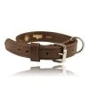Boston Leather 1 ½ K-9 Agitation Collar