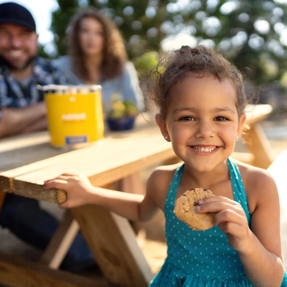 Nutrient Survival Chocolate Chip Cookie-Meals MREs