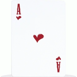 Maxpedition Tactical Field Deck All Weather Playing Cards