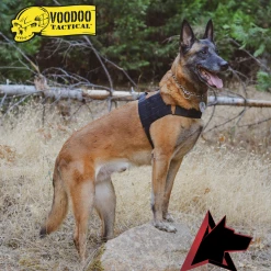 K9 Dog Gear Voodoo Tactical K9 Alpha Duty Harness