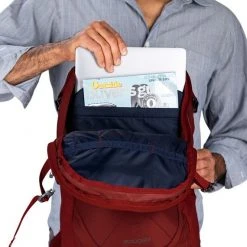 Day Backpacks Osprey Apogee Backpack