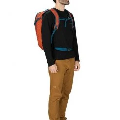 Day Backpacks Osprey Apogee Backpack