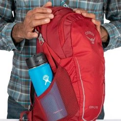 Day Backpacks Osprey Daylite Backpack