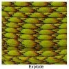 E. L. Wood Braiding Explode Paracord