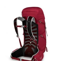 Osprey Talon 33 Backpack Weekend Backpacks